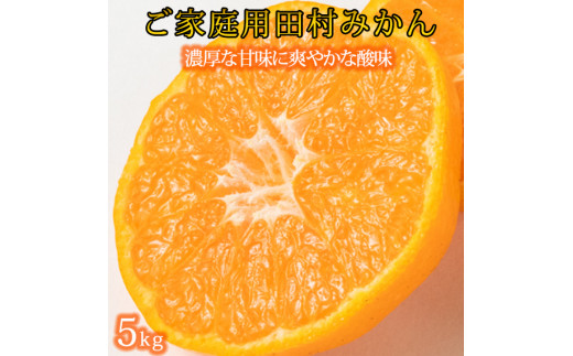 【ご家庭用訳あり】田村みかん　5kg　※2026年11月下旬～2027年1月下旬頃に順次発送予定【uot754A】
