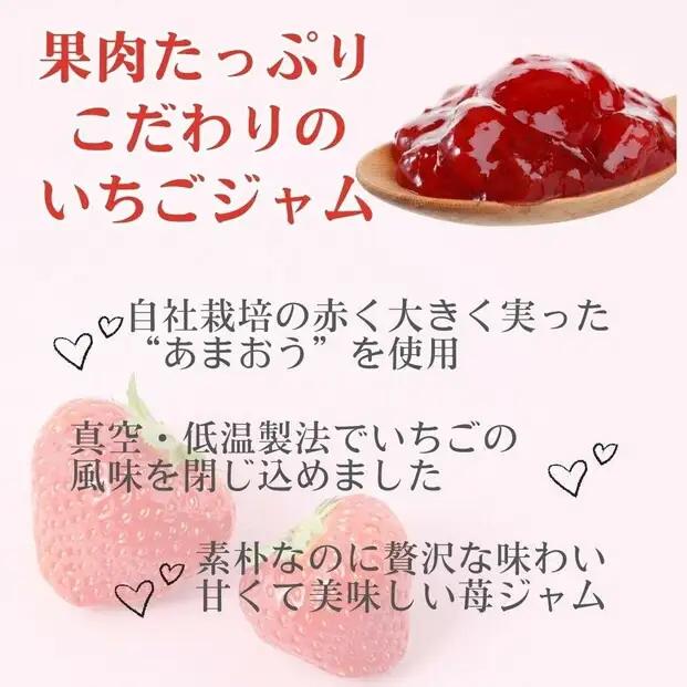 いちごジャム 無添加 あまおうとグラニュー糖のジャム 200g×3袋 手作り 国産 チューブ パウチ入り | 食品 加工食品 人気 おすすめ 送料無料