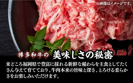 【A4以上】博多和牛 切り落とし 500g《豊前市》【MEAT PLUS】肉 牛肉 バラ 牛肩 [VBB003]