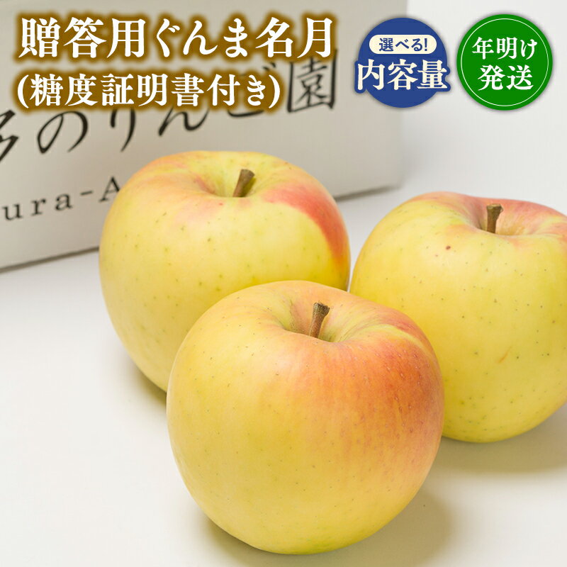 【ふるさと納税】≪内容量が選べる≫【1~2月発送】 青森県産 贈答用 ぐんま名月（糖度証明書付き） 3kg 5kg【青森県 平川市 那由多のりんご園】贈答 青森 青森県産 平川 りんご リンゴ 林檎 くだもの 果物 フルーツ 名月 レビューキャンペーン
