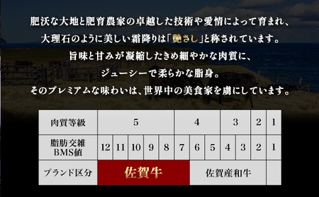 佐賀牛ヒレステーキ360g(180g×2枚) ヒレサイコロステーキ400g 計760g | ふるさと納税 佐賀 肉 お肉 牛肉 フィレ ヒレ ステーキ 贈答 プレゼント 国産 霜降り ギフト グルメ 