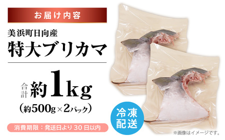 【先行予約】天然 ぶり 特大 ブリカマ (塩焼き用) 約1kg (約500g × 2パック) 美浜町日向産【2026年12月下旬以降順次発送予定】【 ブリカマ 】[m36-a016]