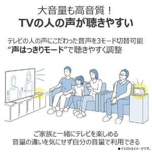 東芝 AUREX テレビ用ワイヤレススピーカー TY-WSD20(W)