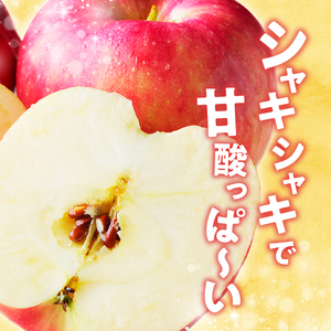 【令和6年出荷受付】ひめかみりんご　約4kg
