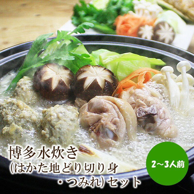 博多水炊き(はかた地どり切り身・つみれ)セット2～3人前【059-0072】