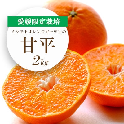 【2026年2月より順次発送】愛媛限定栽培柑橘 シャキッと新食感!甘平 2kg【C25−36】【1044411】