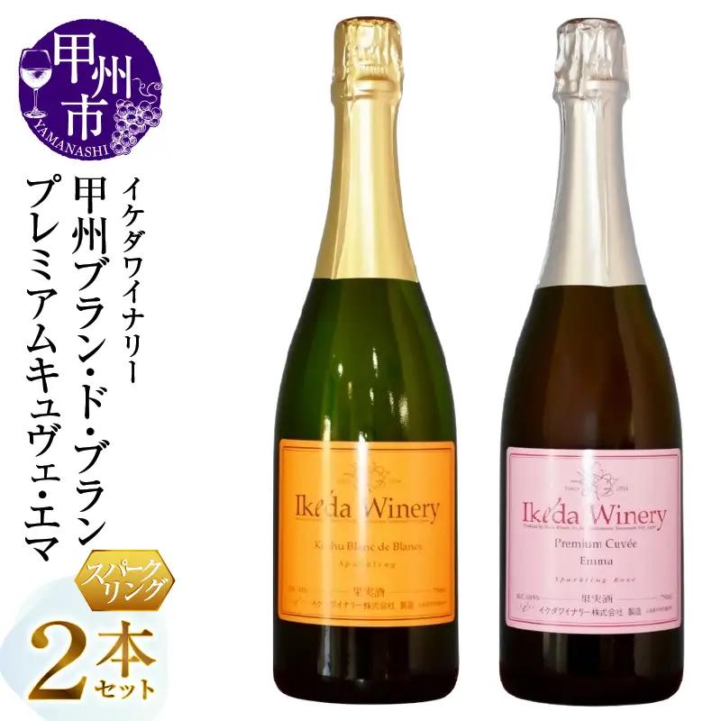 ワイン イケダワイナリー スパークリングワイン 2本セット（MG）C-491