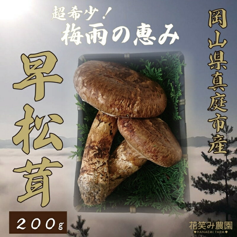 【ふるさと納税】 花笑み農園 超希少! 早『松茸』200g 〜梅雨の恵み〜【2025年6～7月発送予定】【配送不可地域：離島】hana24-1 国産 岡山県 真庭市 希少 産地直送 早松茸 天然物 松茸 マツタケ まつたけ キノコ きのこ 茸【1602133】
