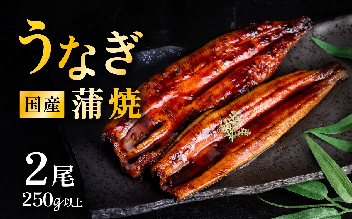 【 05月発送 】 国産 うなぎ蒲焼 上うなぎ2尾 250g以上 山椒付き 鰻 ウナギ たれ タレ たっぷり うな重 鰻重 ひつまぶし