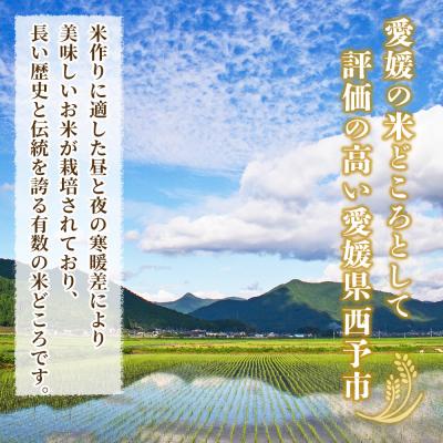 ふるさと納税 西予市 <令和7年産 西予市産 コシヒカリ10kg> 宇都宮米穀 愛媛県産 |  | 01