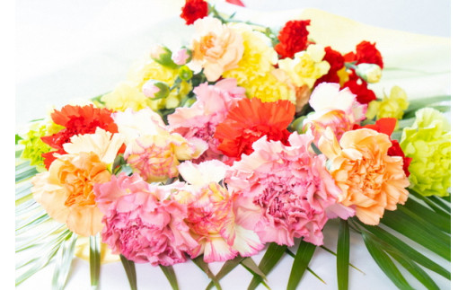 [切りたて直送] カーネーション花束 [0085]
