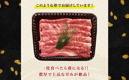 黒毛和牛 ウデスライス 800g（400g×2袋）