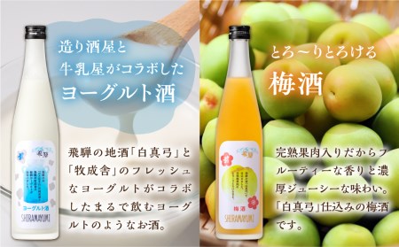 リキュール ヨーグルト酒&梅酒 白真弓 蒲酒造 リキュール [AQ013]