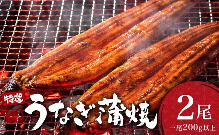 ＜2026年7月配送＞うなぎ蒲焼き 400g (200g×2尾) ／ 国産 蒲焼き 長焼き ウナギ 鰻 蒲焼 冷凍 贈答 うなぎ