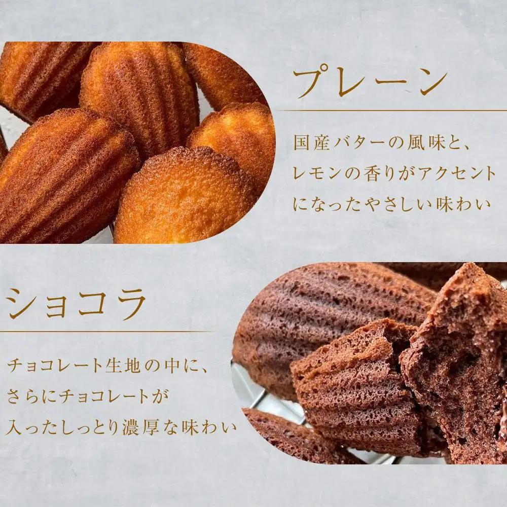 マドレーヌ　2種類6個入り　洋菓子店H(アッシュ）