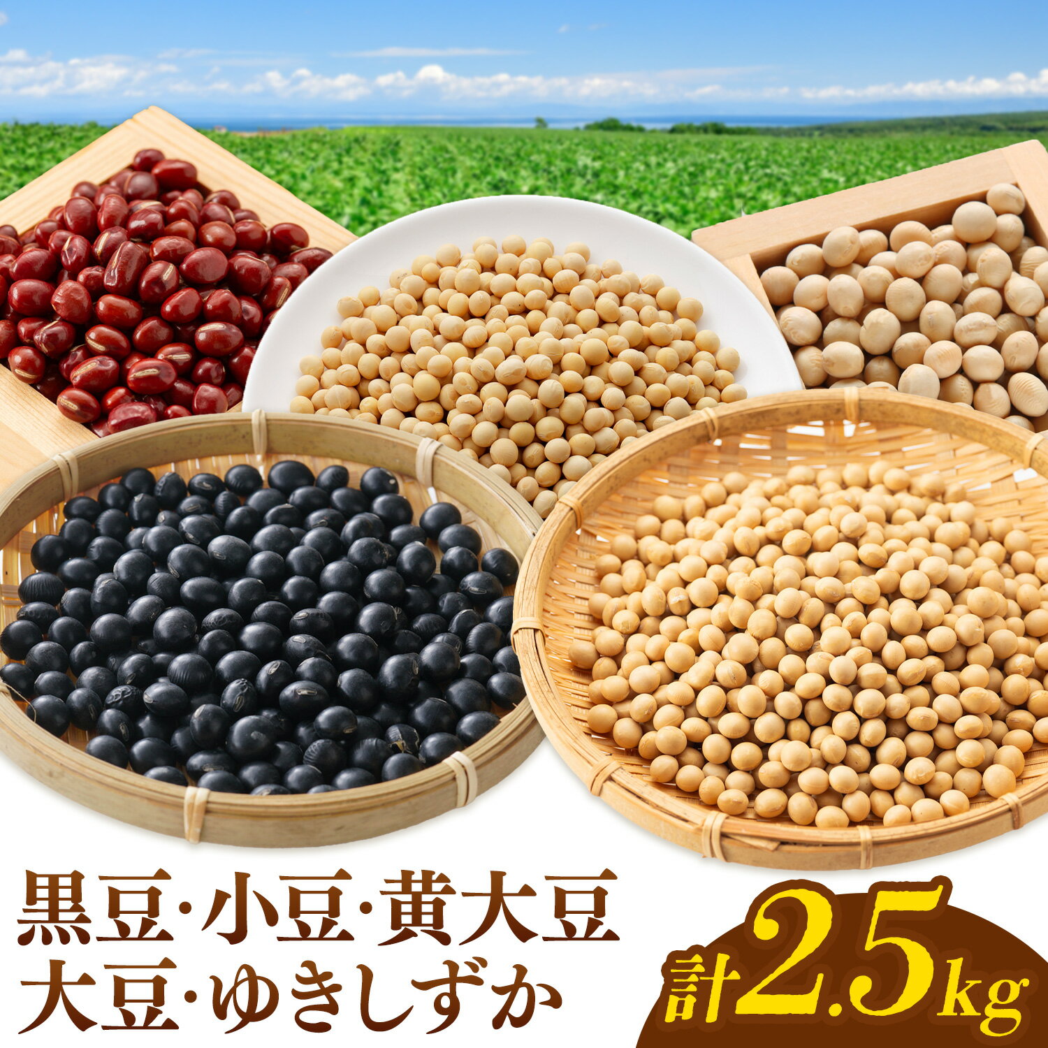 【ふるさと納税】【先行予約】本別 豆 セット 各500g 5種類 2.5kg 特定非営利活動法人 銀河ほんべつ《2027年11月下旬-11月末頃出荷》大豆 黒豆 小豆 ゆきしずか 黄大豆