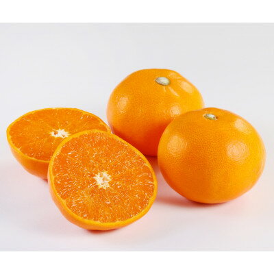 【ふるさと納税】【家庭用】せとか3kg【C21-55】【1682659】