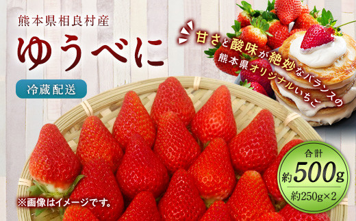 相良村産 いちご「ゆうべに」 250g×2パック 日野農園 【2025年12月上旬～2026年4月下旬発送予定】 熊本県産  いちご 苺 フルーツ 果物 くだもの ゆうべに おやつ
