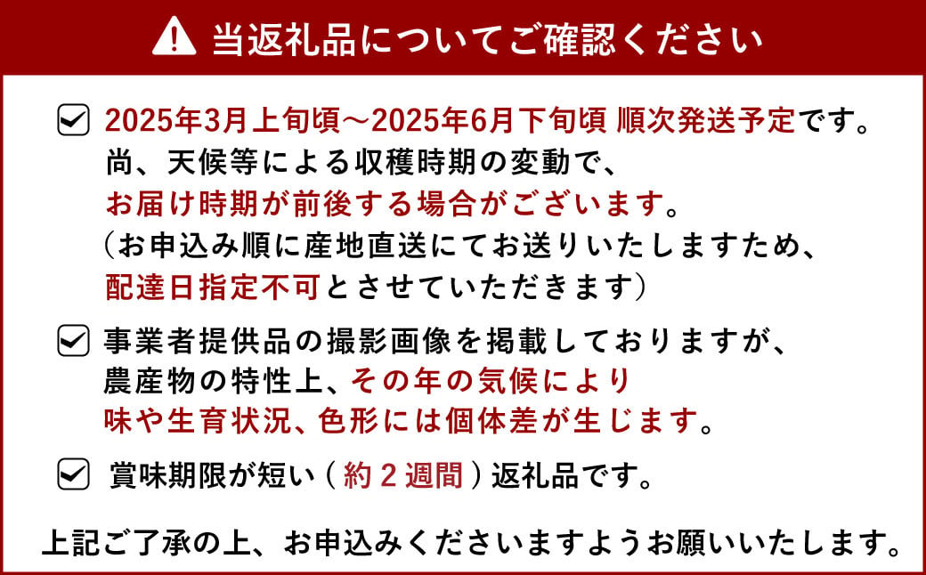 【先行予約】宇城市産 訳あり品 不知火 約3kg【うちやま果樹園】【2025年3月上旬から6月下旬発送予定】