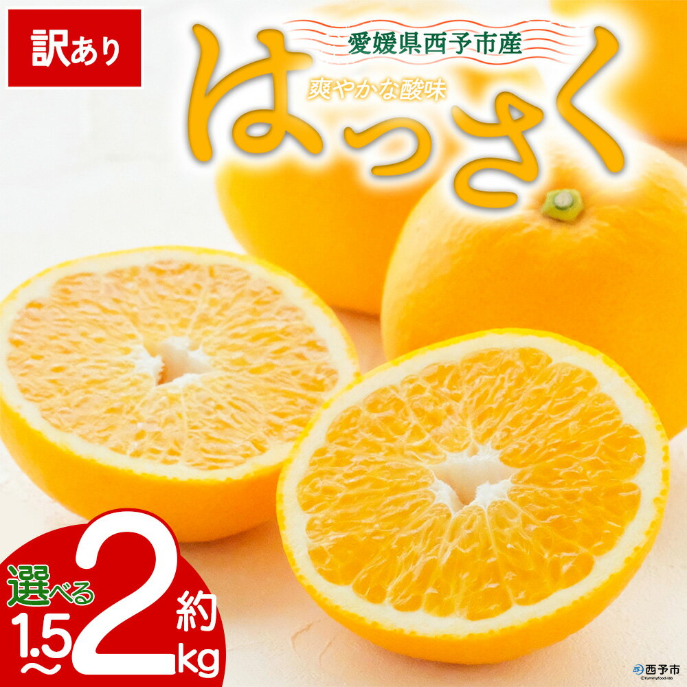 【ふるさと納税】【先行予約】＜訳あり 愛媛県産 八朔 約1.5kg／約2kg＞ 『2027年2月中旬以降順次出荷予定』選べる はっさく ぷりぷり食感 酸味 ご家庭用 ご自宅 蜜柑 果肉 果物 柑橘 フルーツ オレンジ 国産 濃厚 産地直送 ミヤモトオレンジガーデン 愛媛県 西予市【常温】