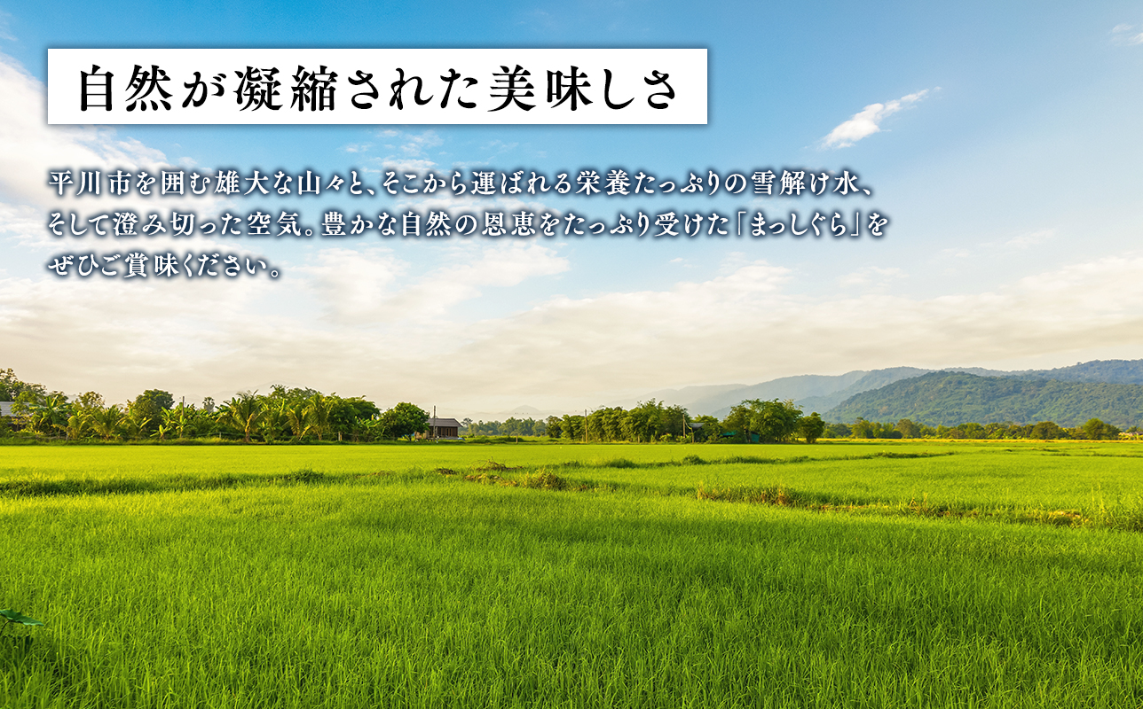 ≪令和8年産 先行予約≫11月中旬よりお届け! 　特別栽培米 はれわたり玄米5kg【青森県 平川市】先行予約 米 お米 玄米 青森県産 産地直送 おにぎり 朝ご飯 冷めてもおいしい ご飯  コメ こめ