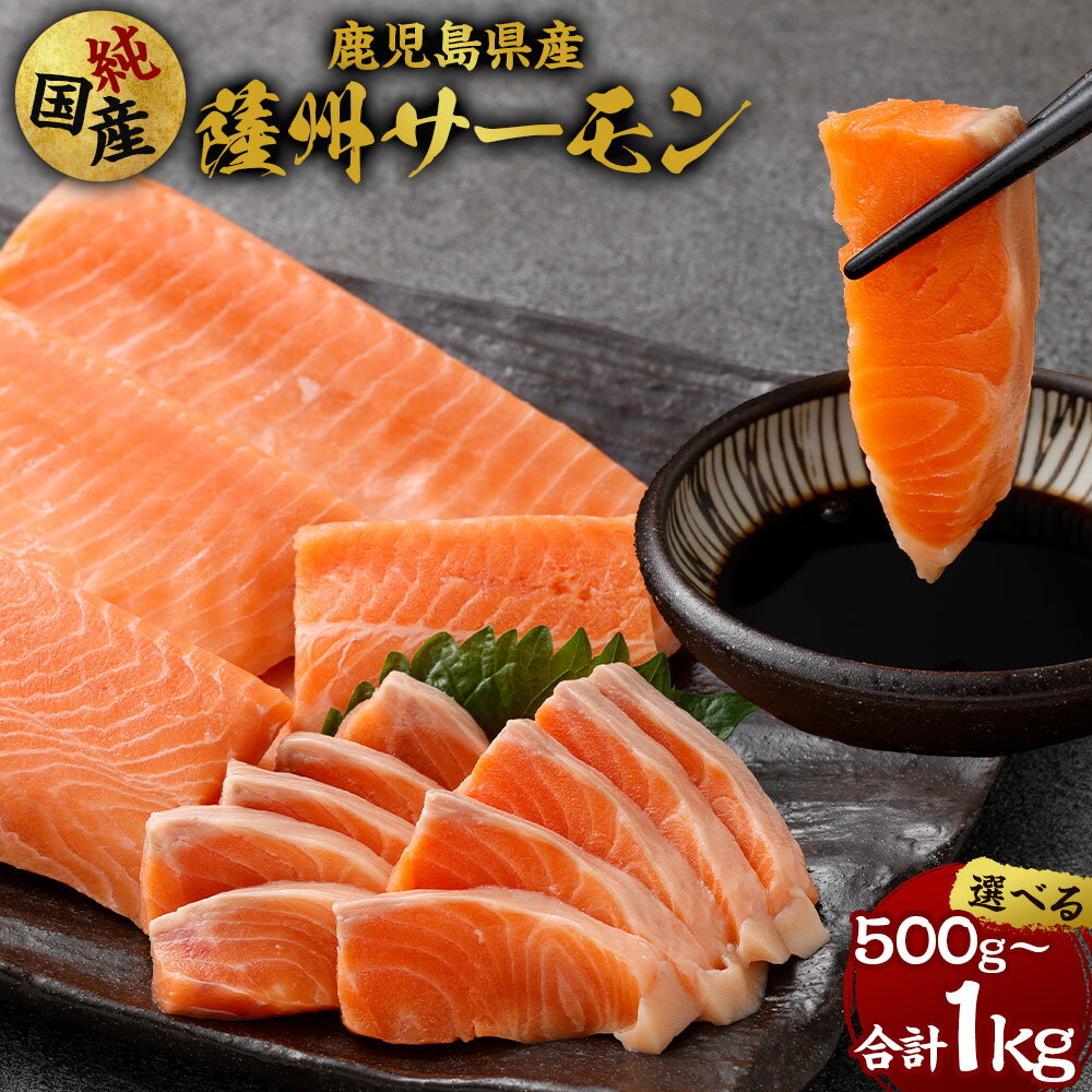 【ふるさと納税】薩州サーモン ＜選べる容量＞500g／1kg 【鹿児島県産】 純国産 鹿児島 国産 養殖 サーモン 鮭 さけ 鹿児島県 薩摩川内市 送料無料
