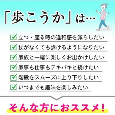 ふるさと納税 日置市 【てまひま堂】プロテオグリカン&クリルオイル「歩こうか」(1袋93粒入)鹿児島　日置市　1日3粒目安 |  | 03