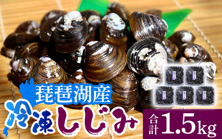 滋賀県の琵琶湖で取れた蜆  300ｇ×5 計1.5kg [TT006] / 蜆