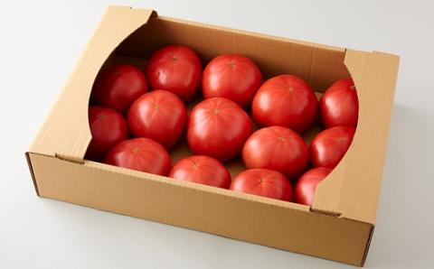 食の都庄内　庄内の大玉トマト約8kg　※7月上旬～8月下旬配送 [HS4-141(庄内旬青果)] 庄内の大玉トマト約8kg