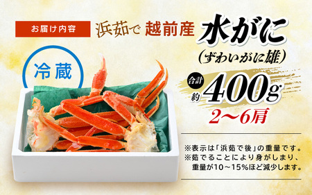 【期間限定】浜茹で 越前産 水がに 400g（2～6肩） 脱皮したてのずわいがに【福井県 越前町 かに カニ 蟹 ずわいがに ズワイガニ 雄 ズボガニ 水ガニ かに足  冷蔵 越前ガニ 越前かに 越前
