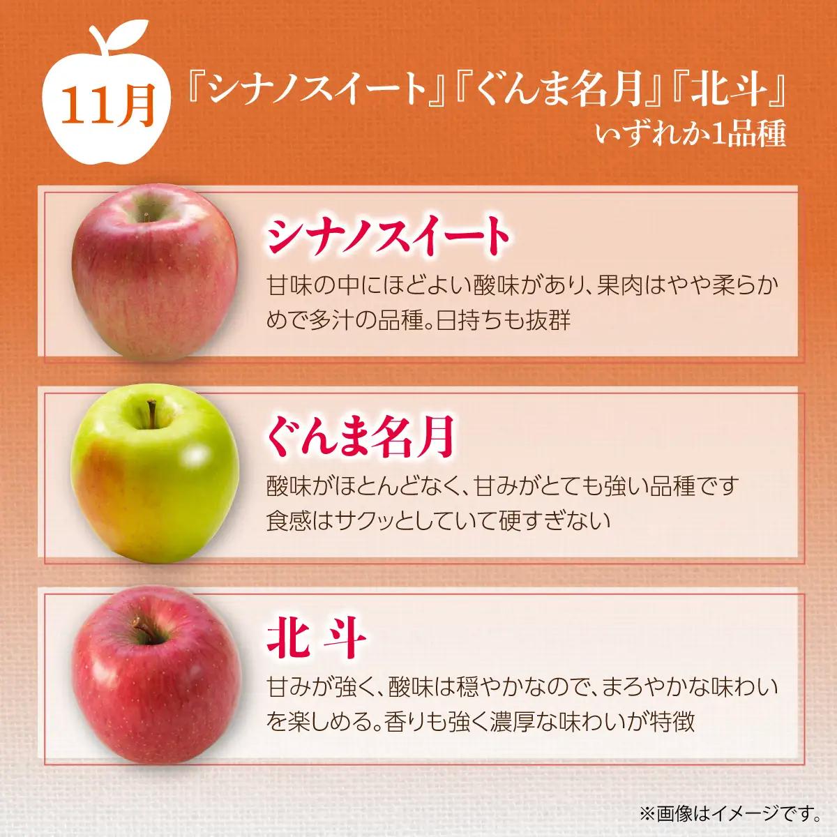 【先行予約】＜10･11･12月お届け＞北海道壮瞥町　旬のりんご約3kg　おまかせ定期便 SBTF031