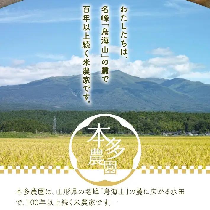 SB0964　10月中旬配送／令和8年産【無洗米】雪若丸　10kg(5kg×2袋) 農家直送 HO