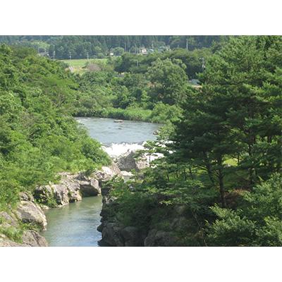 ふるさと納税 胎内市 【毎月定期便】【12ヶ月連続お届け】新潟県胎内市産コシヒカリ無洗米10kg(5kg×2袋)全12回 |  | 02