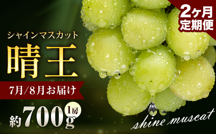 ぶどう シャインマスカット 晴王 700g 1房 2ヶ月定期便 彩美菜果《7月上旬-8月末頃出荷》 マスカット 送料無料 岡山県 浅口市 フルーツ 果物 贈り物 国産 岡山県産 くだもの 果物 7月 8月発送 【配送不可地域あり】（北海道・沖縄・離島）---124_c1143tei_7j8m_24_51000_jul2---