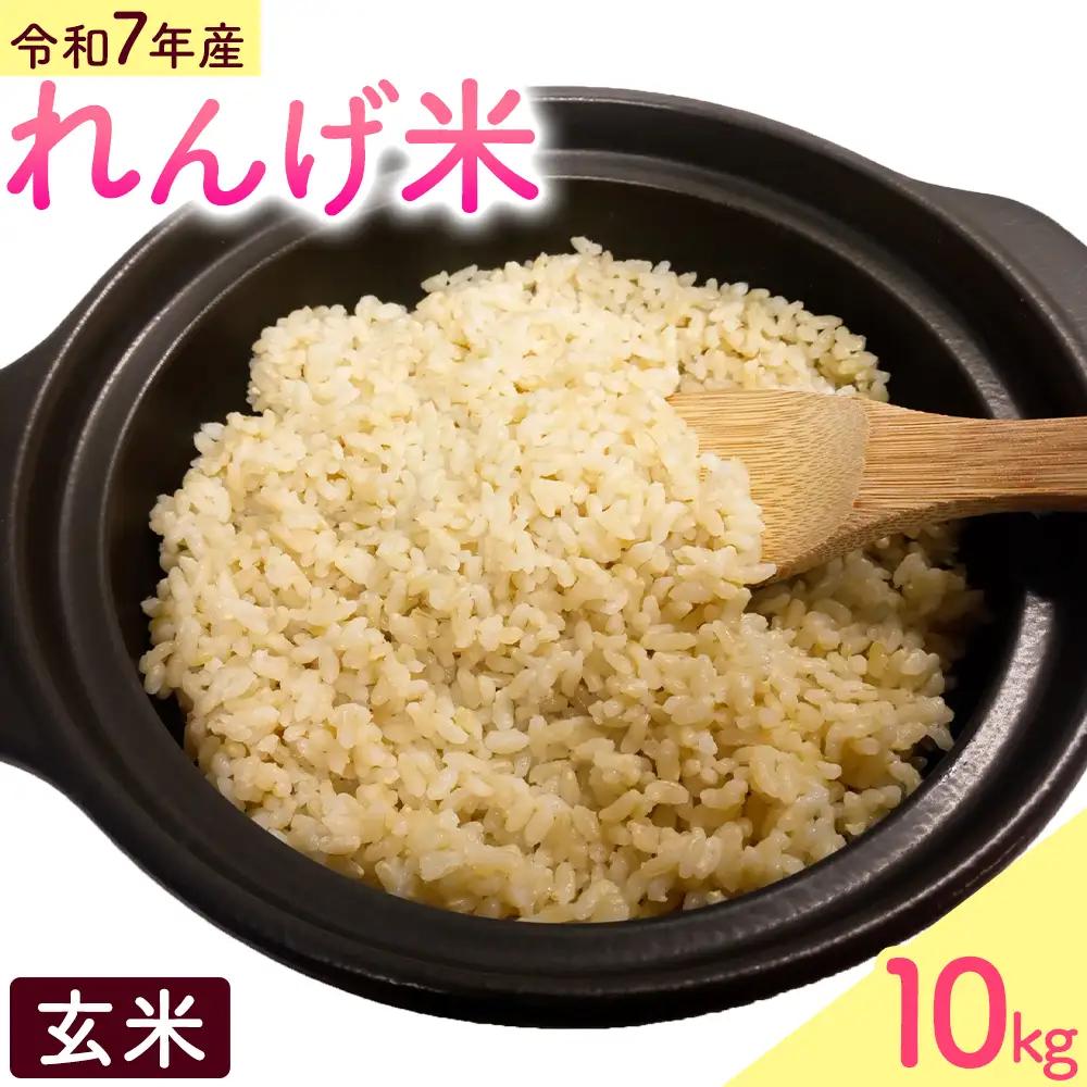 熊本県菊池市産のれんげ米 玄米 10kg 《30日以内に出荷予定(土日祝除く)》