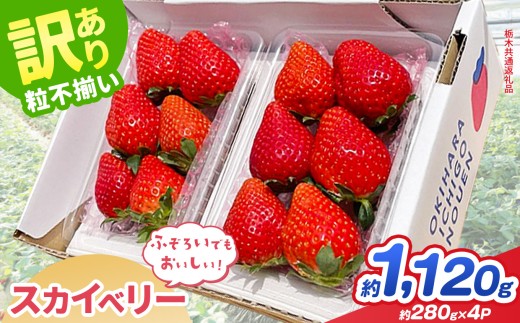 【先行予約】訳あり スカイベリー 約  280g × 4P｜【栃木県共通返礼品】いちご イチゴ 苺 訳あり 不揃い 粒 栃木県 那珂川町 送料無料