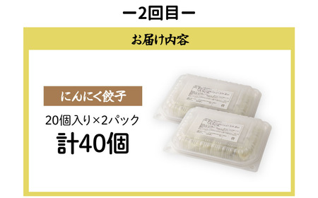 【定期便】 餃子 焼売 月替り便 全3回 | ぎょうざ 冷凍 北本フーズ