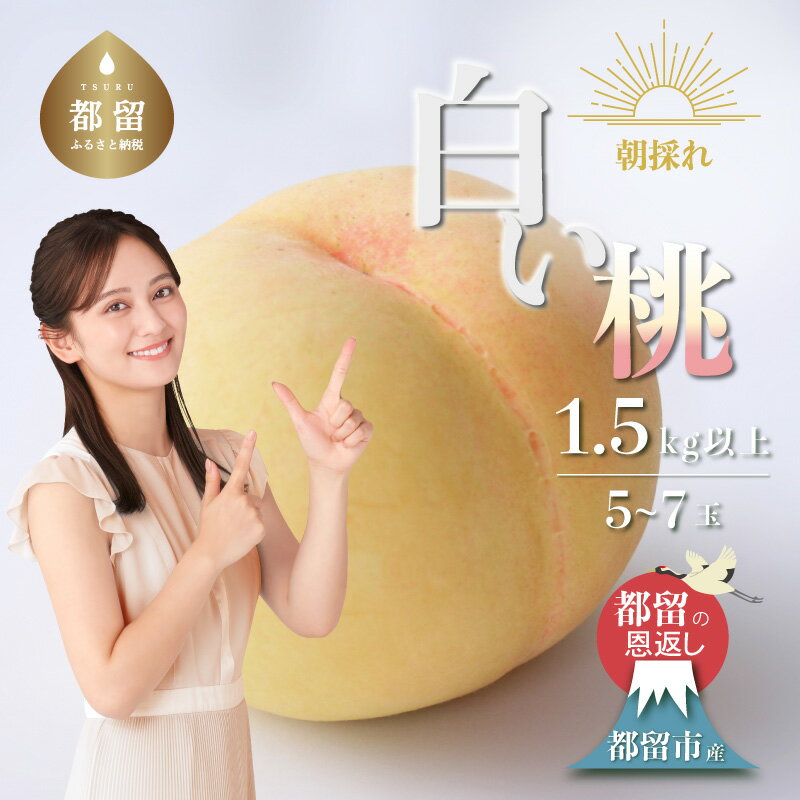 【ふるさと納税】【2026年先行予約】山梨県都留市産 朝採れ「白い桃」 1.5kg以上 (5～7玉）日本一の産地 山梨県産|| もも　桃　減農薬 ジューシー 山梨県産 農家直送 フルーツ