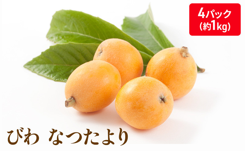 
            [№5911-0202]なつたより（びわ）4パック入り(約１Kg) 果物類 フルーツ 枇杷 ビワ 
          