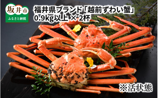 【先行予約】福井県ブランド ≪茹で≫「越前ズワイ蟹」 0.9kg以上 2杯 【2026年3月発送分】 [O-1404_03]