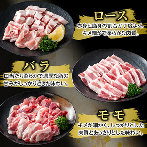 K-367-A かごしま味わい黒豚 さつま焼肉コース(合計900g)【KNOT】霧島市 ロース バラ モモ 焼き肉 ヤキニク 豚肉 国産 鹿児島県産 肉 精肉 小分け セット 食べ比べ