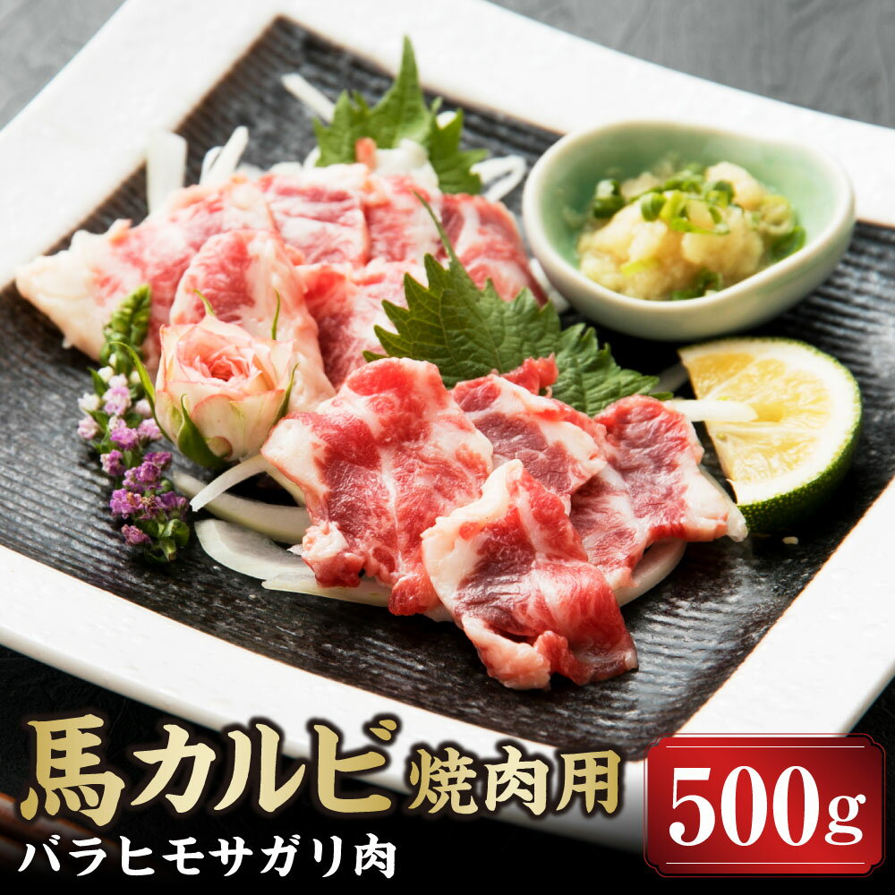 【ふるさと納税】【熊本と畜】馬カルビ焼肉用 バラヒモサガリ肉 500g 馬肉 肉 お肉 馬刺し 馬刺 馬焼き カルビ バラヒモ バラ 焼肉 やきにく おつまみ 冷凍 九州 熊本県 上天草市 送料無料