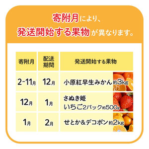 【特秀品!】冬のいいとこどり定期便♪