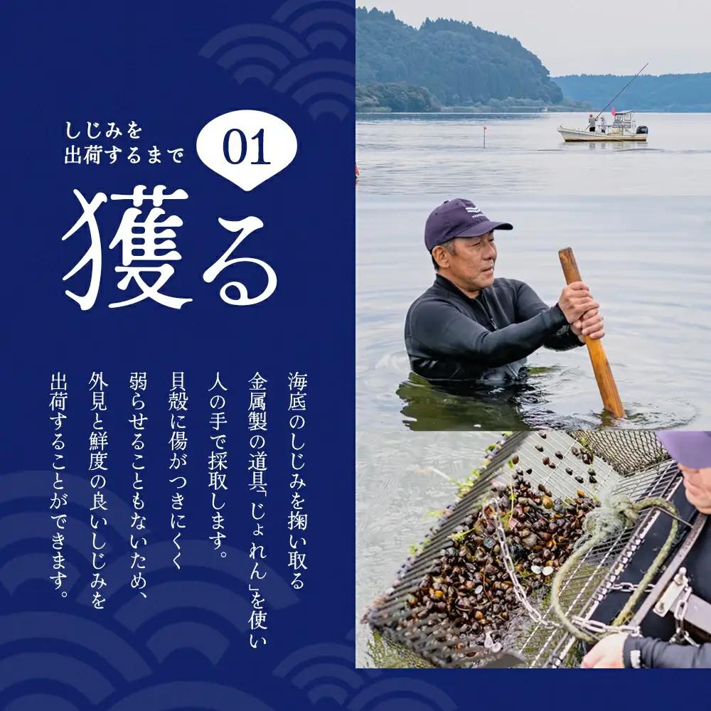砂抜き済みで手間いらず！冷凍・小川原湖産大和しじみ1kg（500g×2袋）　【02408-0158】