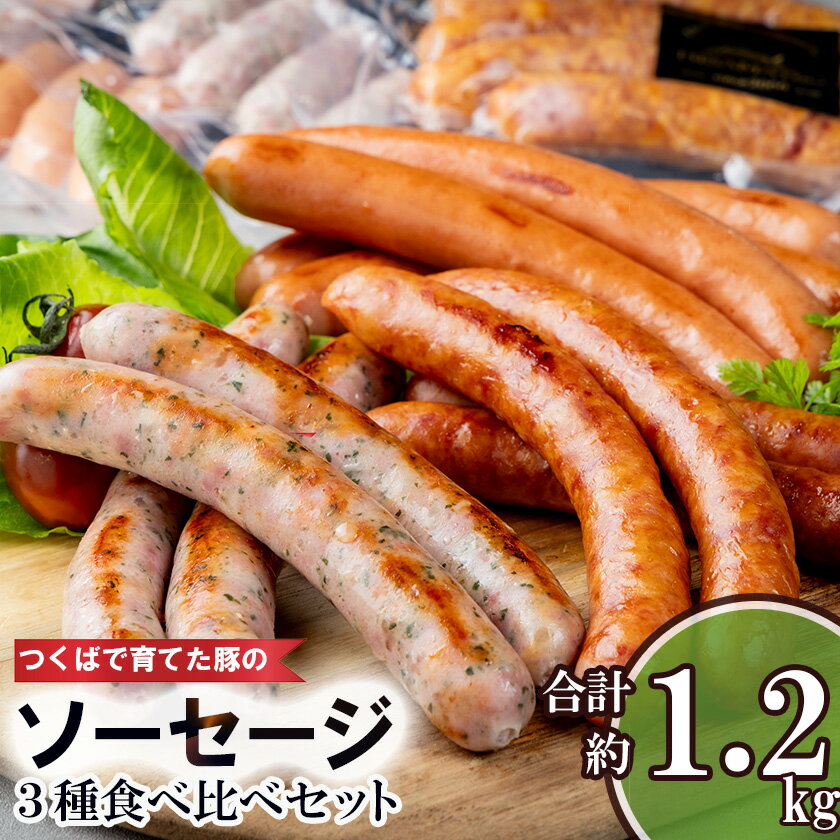 【ふるさと納税】ソーセージ 3種 計約1.2kg 食べ比べ セット つくばで育てた豚 | 茨城県 つくば市 豚肉 おつまみ 肉 加工品 ウインナー あらびき 粗びき ハーブ 冷蔵 ソーセージ 食べ比べ