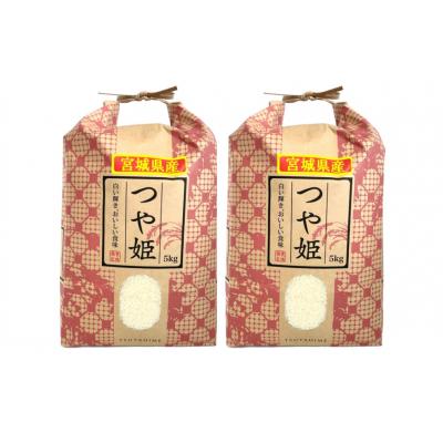 ふるさと納税 気仙沼市 3回 定期 米 宮城県産 つや姫 10kg(5kg×2) 計30kg 20564924 |  | 01