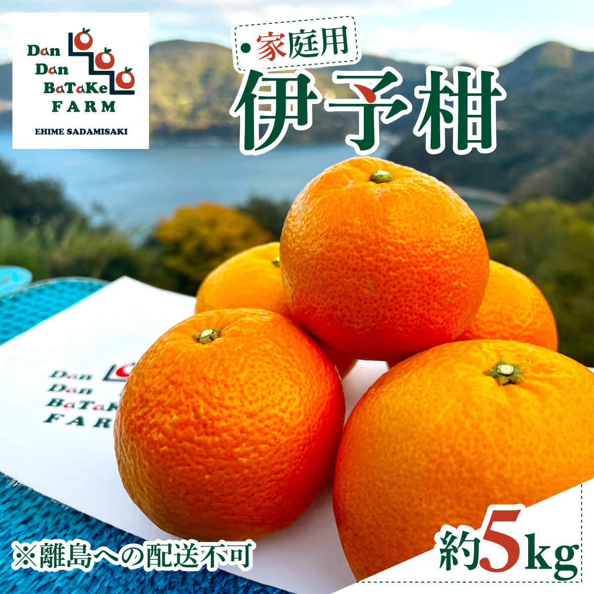 【ふるさと納税】【先行予約】【家庭用】伊予柑 約5kg ※離島への配送不可　※2026年1月中旬から順次発送予定【ふるさと納税 人気 おすすめ ランキング みかん ミカン フルーツ 伊予柑 果物 オレンジ 農家直送 産地直送 愛媛県産 家庭用 愛媛県 伊方町 送料無料】IKTAU001