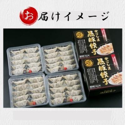 ふるさと納税 薩摩川内市 【6回定期便】かごしま黒豚餃子 合計240個 ES-503 |  | 03