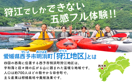 ＜狩江地区田舎暮らし体験チケット（3,000円分）＞ 田舎 体験 自然 旅 旅行 トラベル 観光 レジャー アウトドア アクティビティ Eバイク 家業体験 収穫 漁業 農業 料理体験 郷土料理 特産品