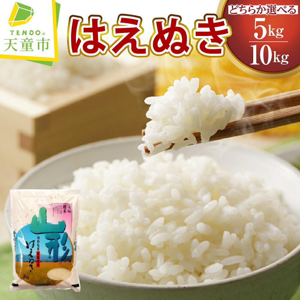 【ふるさと納税】 はえぬき 選べる 5kg / 10kg 令和7年産 米 新米 2025年 コメ こめ おこめ 精米 ブランド米 ごはん 白米 おにぎり 弁当 5kg 袋 お取り寄せ 産地直送 送料無料 【 山形県 天童市 】